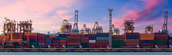 European Port Strikes – VIDA Living Shipping Update